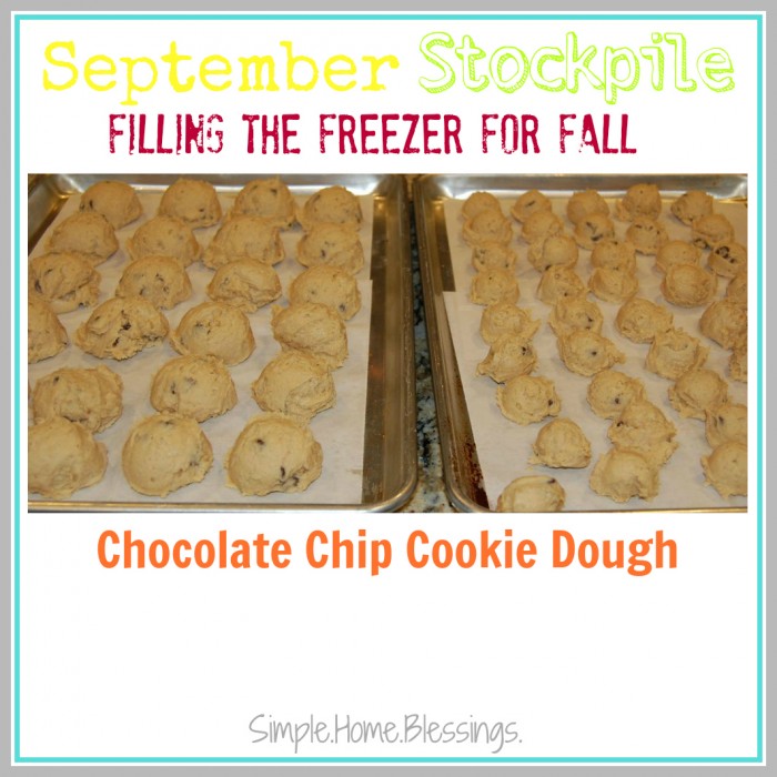 September Stockpile Chocolate Chip Cookie Dough