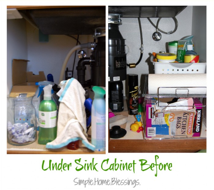 Under Sink Cabinet Before Makeover