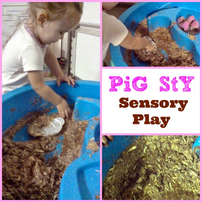 sensory pig sty wet and messy play