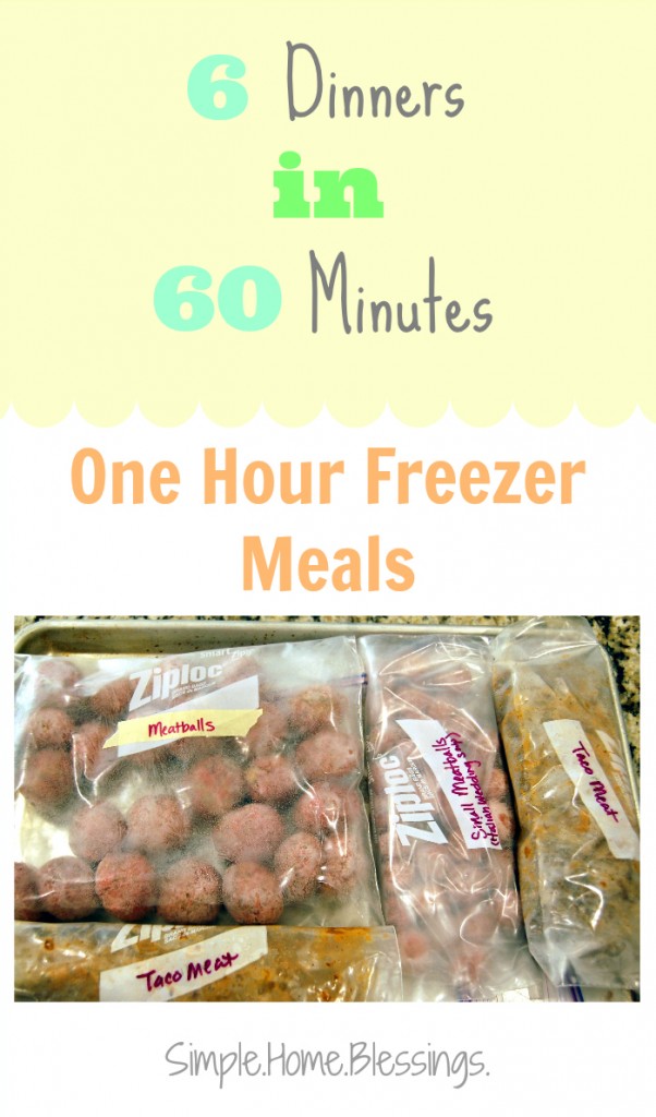 6 Dinners in 60 Minutes Freezer Cooking