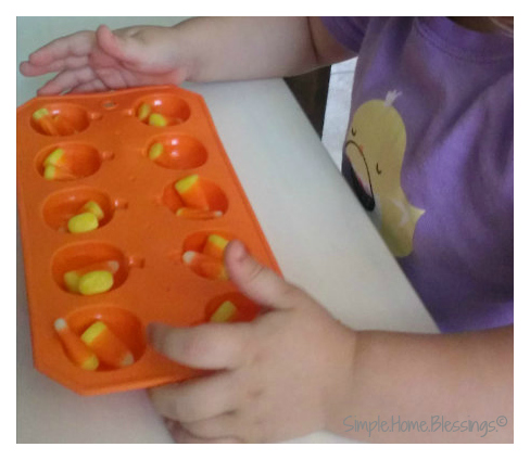 pumpkin counting - simple math activity for toddlers