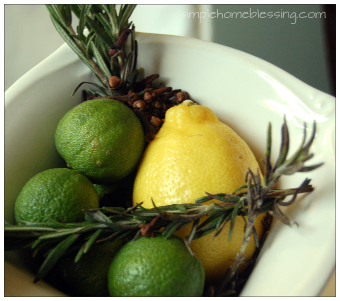 Winter into Spring DIY Home Scent