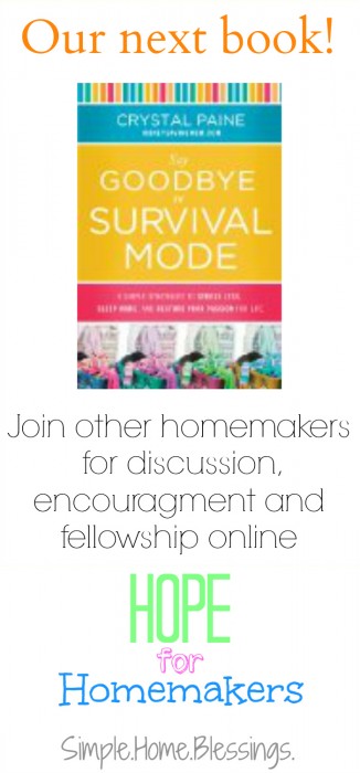The Next Book in Hope for Homemakers, Say Goodbye to Survival Mode