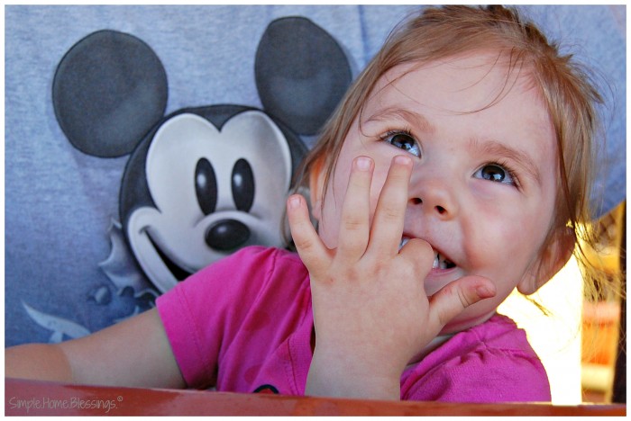 Disneyland - top Southern California Destinations for tots