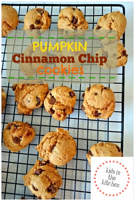 Kids in the Kitchen - Pumpkin Cinnamon Chip Cookies - so simple!