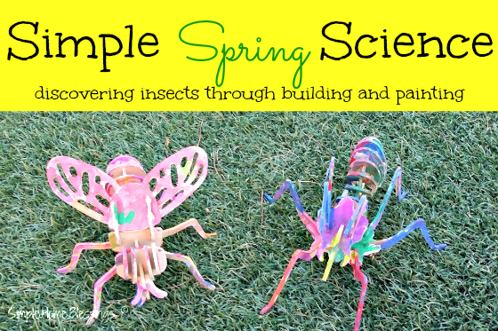 discover insects through building and painting, a simple science activity for toddlers/preschoolers