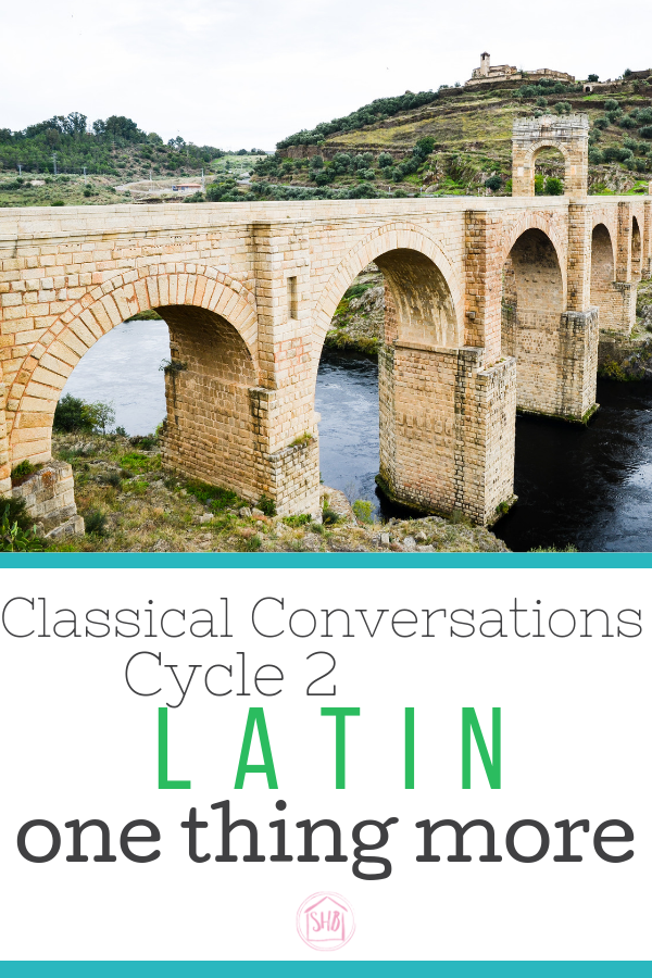 how to add one thing more to Classical Conversations Cycle 2 Latin to prepare your students for future Latin success.  Great list of resources ranked by age and grade