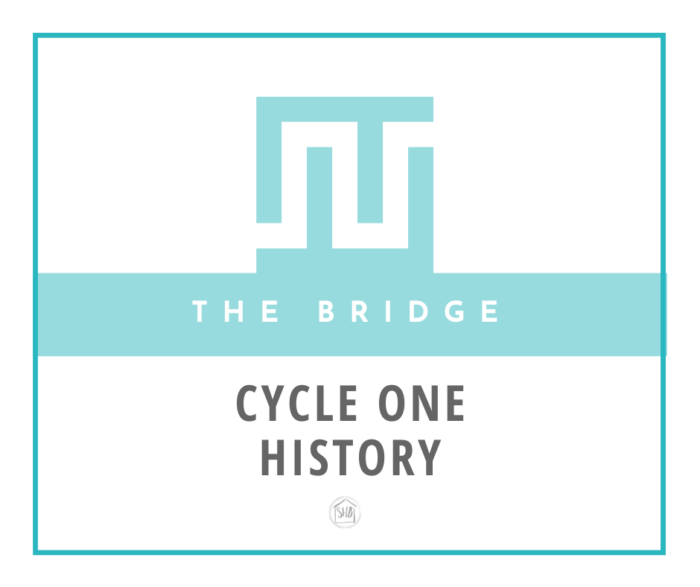 the Bridge between Classical Conversations and Charlotte Mason in the upper elementary years - Cycle One History