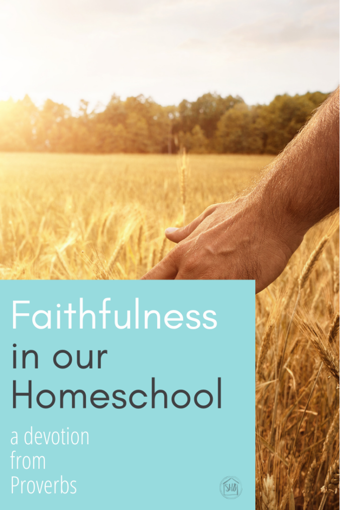 a simple devotional for homeschool moms discussing faithfulness in our homeschool - to what shall we be faithful? 