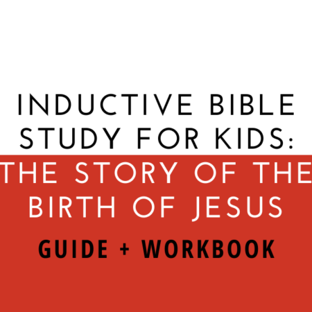 The Story of The Birth of Jesus – Inductive Study Guide + Workbook